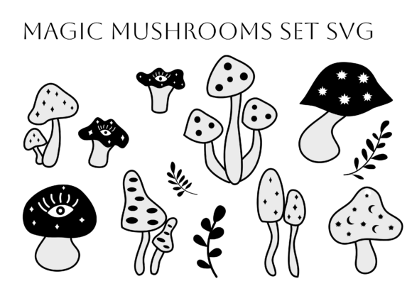 Download Magic Mushroom - Magic mushroom Collection